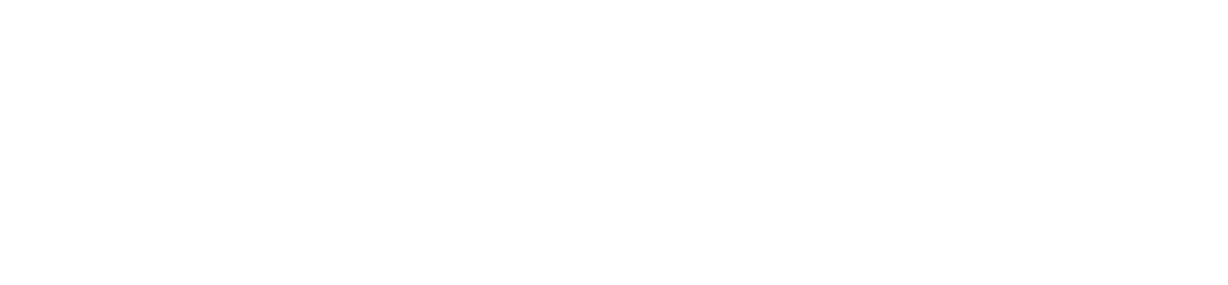 Newcastle-under-Lyme Borough Council